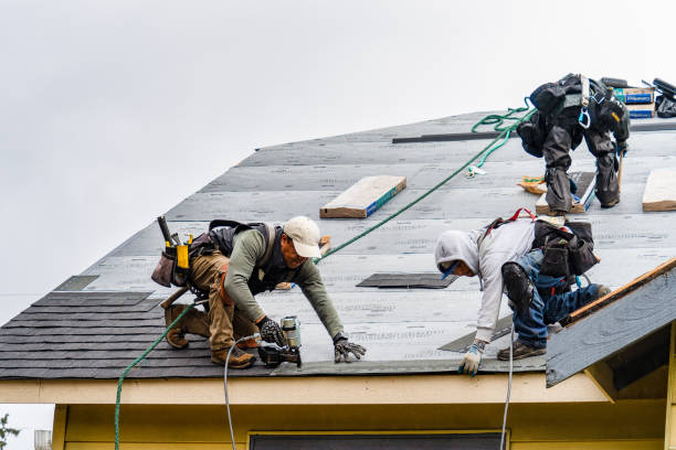 Professional Roofing technician working in Bangor, MI